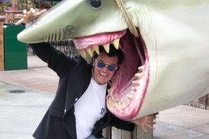 Rusty kämpft mit dem weißen Hai in den Universal Studios CA